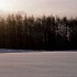 Vol 017 SR041