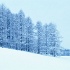 Vol 017 SR051