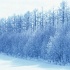 Vol 017 SR052