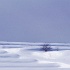 Vol 017 SR061
