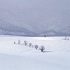 Vol 017 SR065