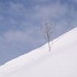 Vol 017 SR066