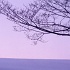 Vol 017 SR079