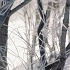 Vol 017 SR149