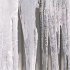 Vol 017 SR169